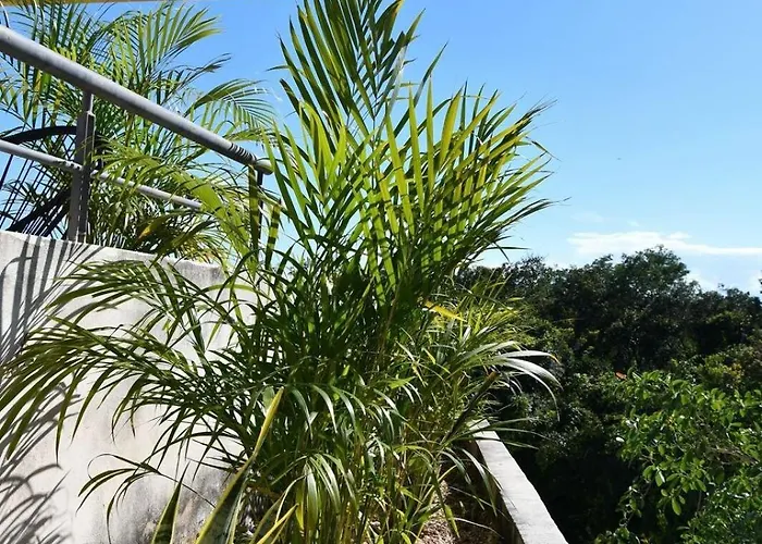 3-br With Private Pool, Terrace And Bbq Tulum
